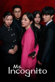 Ms. Incognito (Legendado)